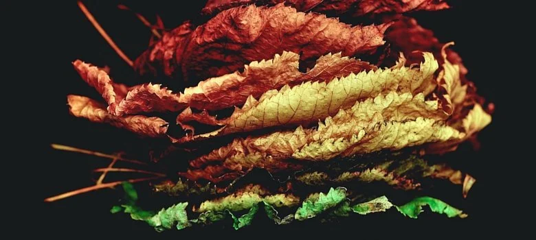 95: Two Levels of Understanding That Lead to Deeper Confidence