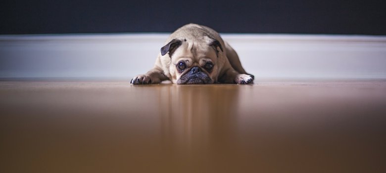 Struggling With Confidence? These 5 Truths Might Help