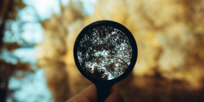 The Costs of Living an Unexamined Life