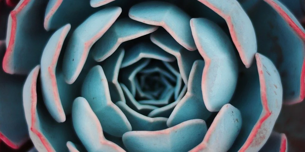 3 Tools to Stop the Spiral of Self-Recrimination