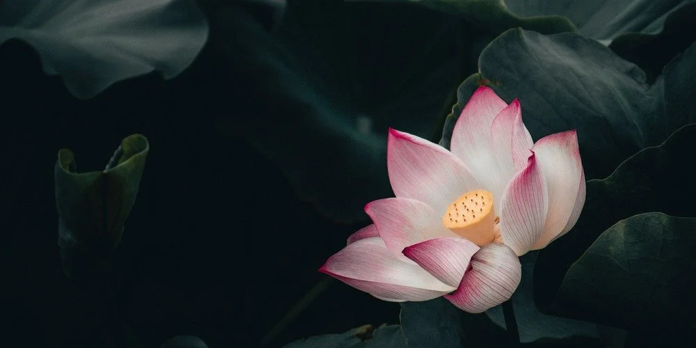 Do You Think Your Inner Critic is a Gremlin? Think Again.