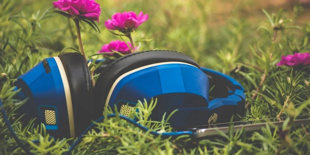 The Power of Self-Kindness: Audiobook Version Now Available!