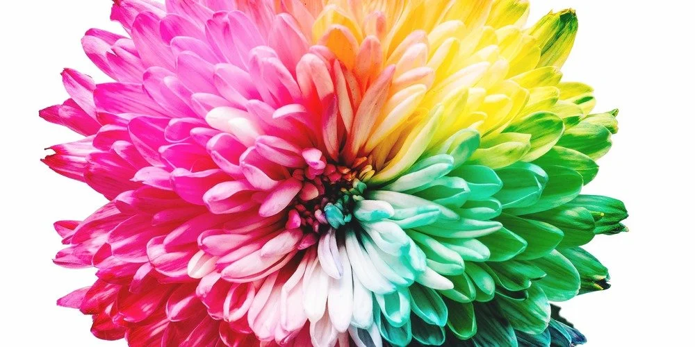 How to Become Who You Are (& Free Video Class!)