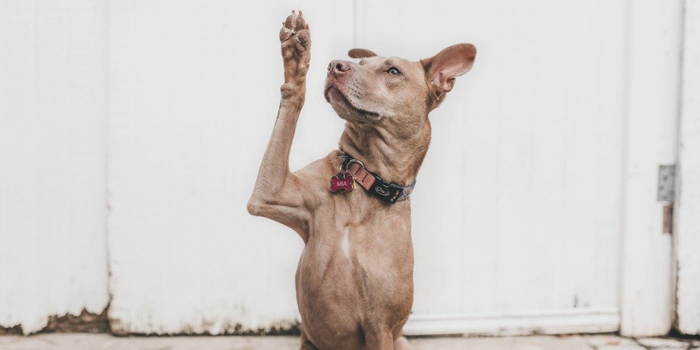 How to Ask for What You Want (Without Feeling Awkward)