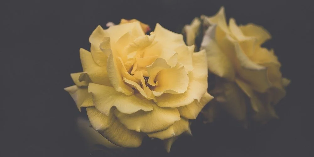 The 7 Characteristics of the Fully-Functioning Person