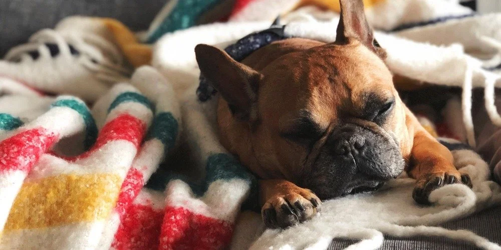 How to Hit the Reset Button on a No-Good Unproductive Day