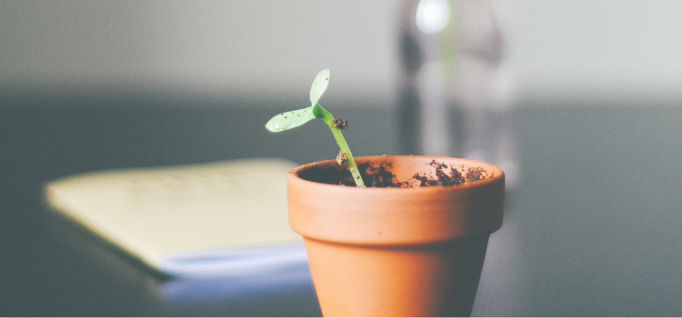 If You Want to Change Your Mindset, Change Your Behaviour First
