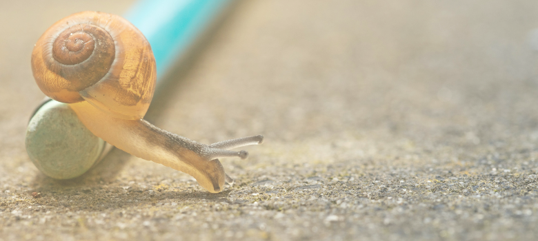 In Praise of Slow Progress