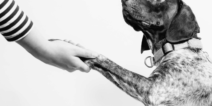5 Things I've Learned About Trust