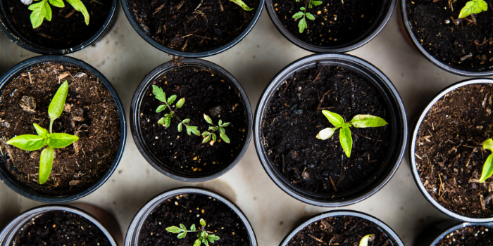 Are You Avoiding Pain or Seeking Growth?