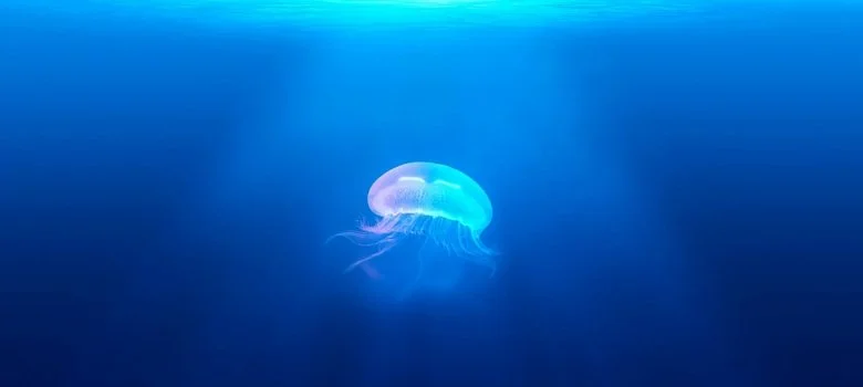 Feeling Directionless? How to Spend Your Time in a Way That Matters