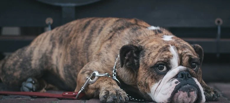 The Art of the Meaningful Apology