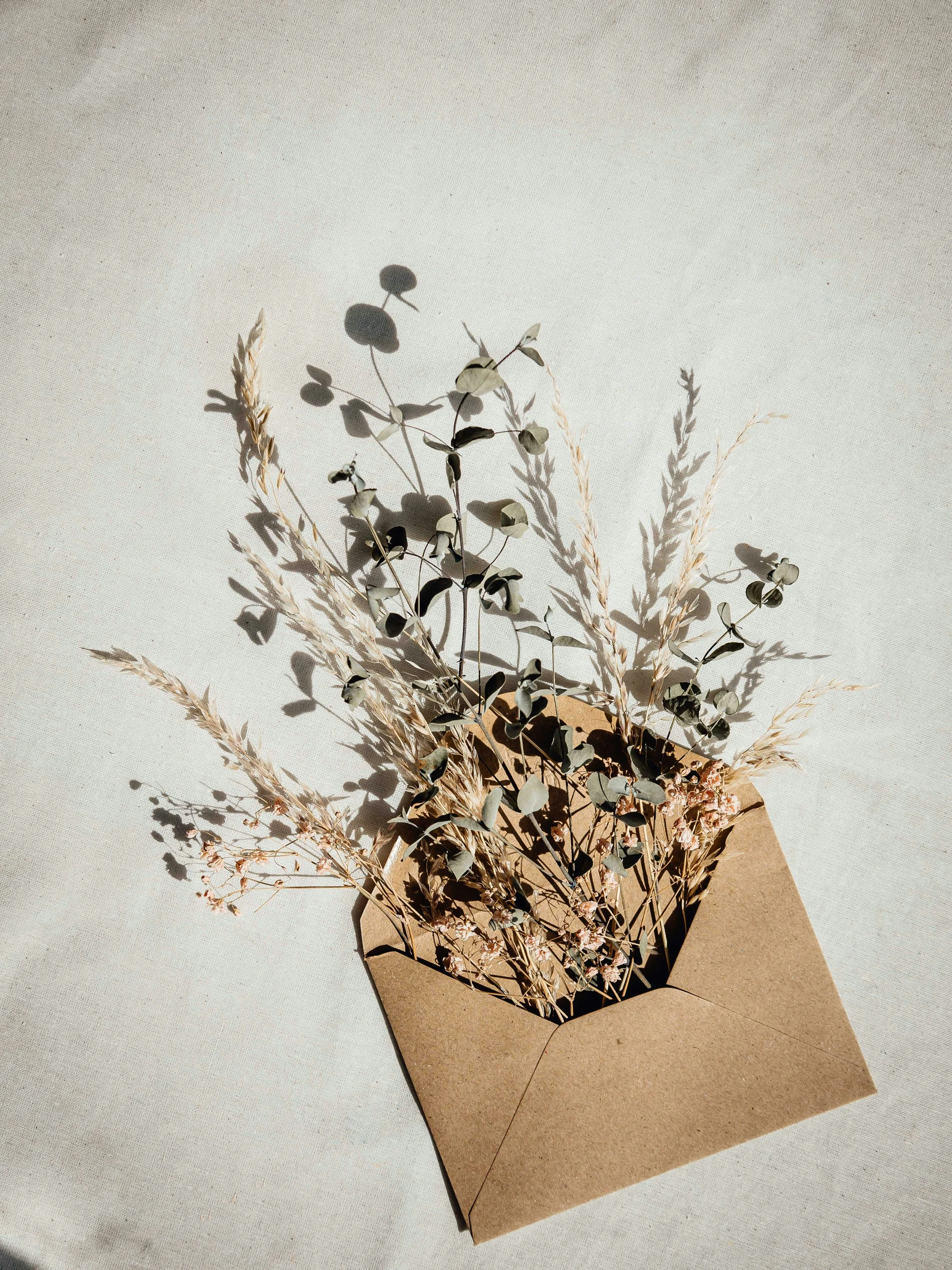 A beige envelope containing dried flowers and grasses on a light fabric background.