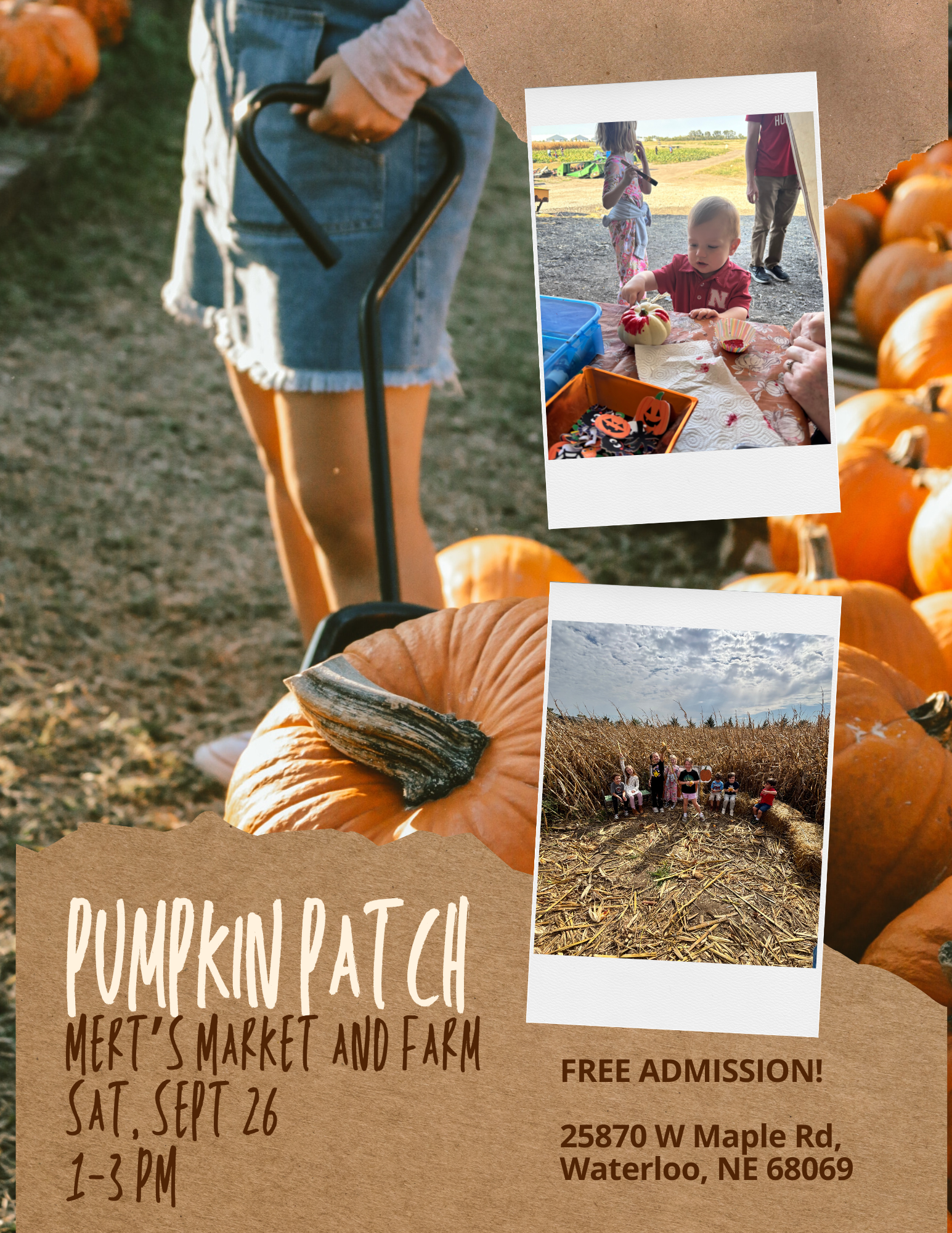 Pumpkin Patch