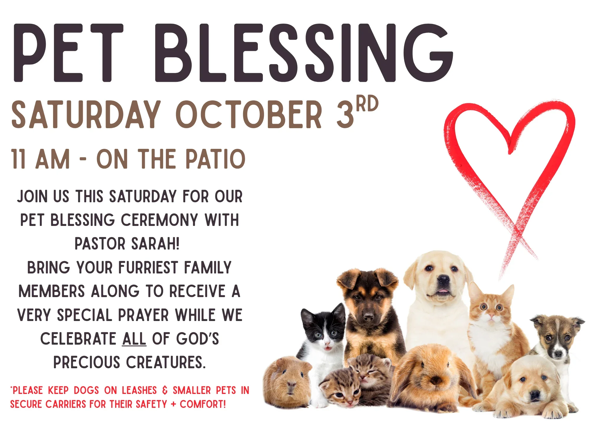 Pet Blessing