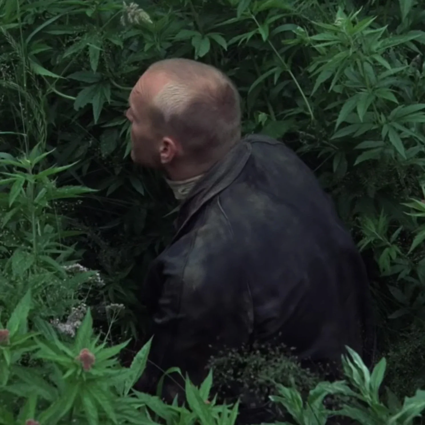 The Room Is Not the Grail: Parsifal, Stalker, and the Ethics of the Threshold