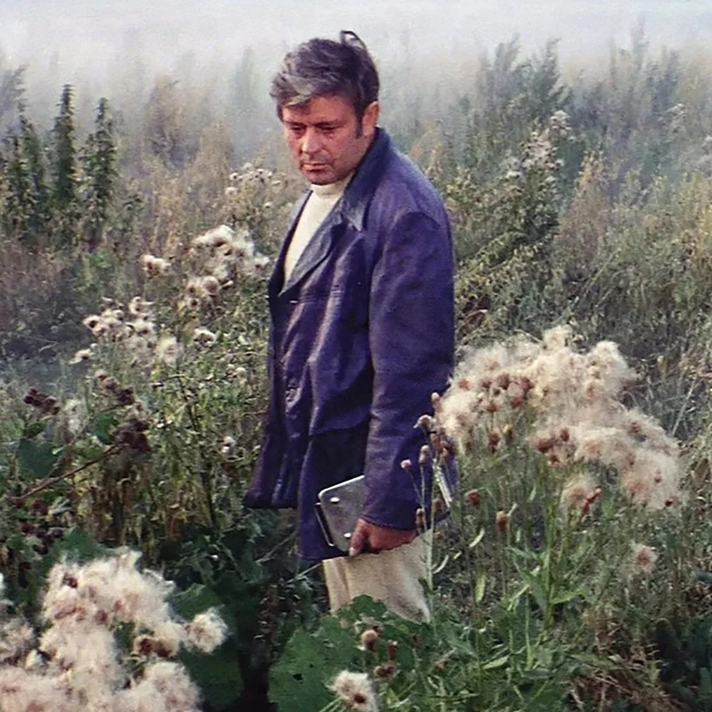 Love Without Distance: Tristan, Solaris, and the Violence of Fulfilled Desire