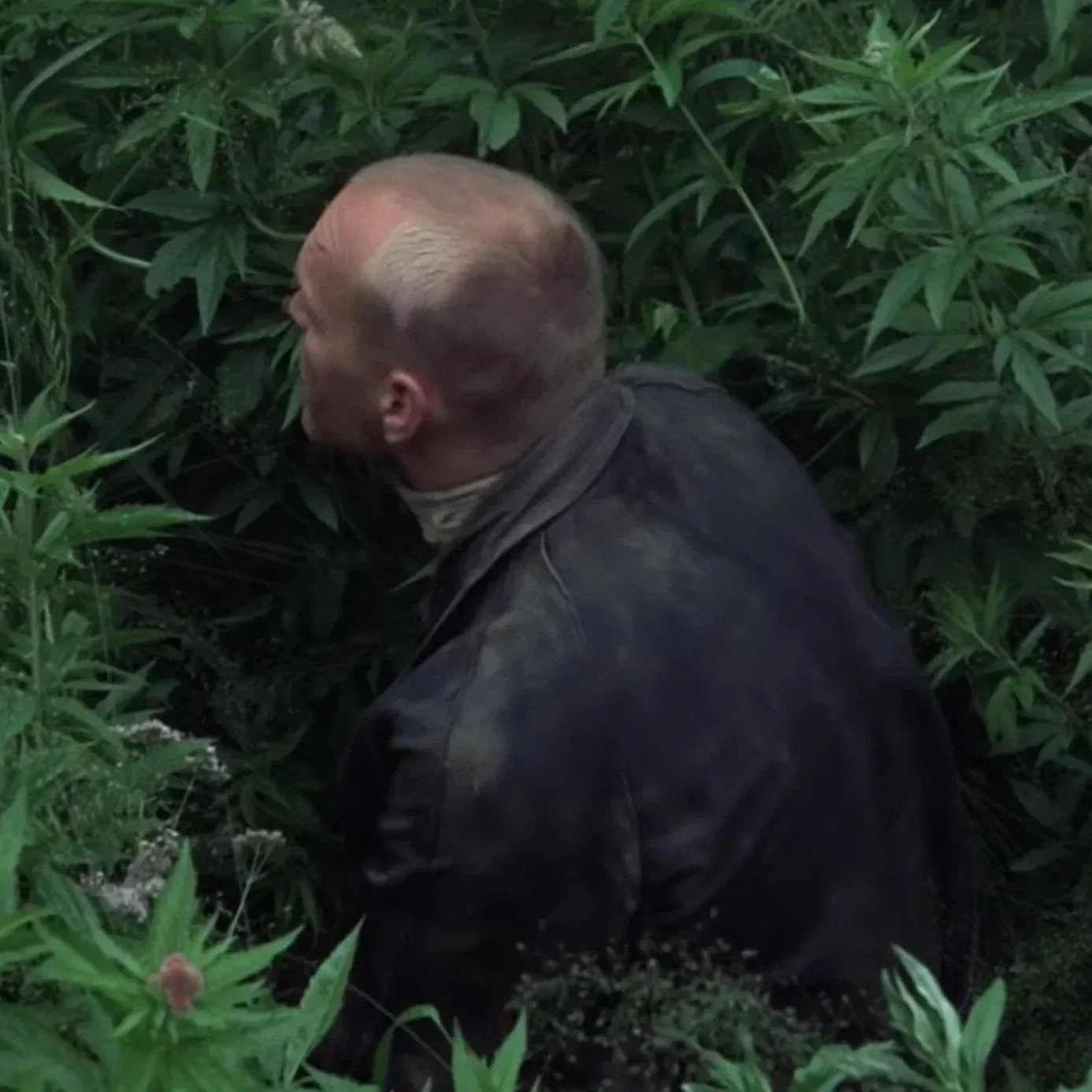 Folge 4: The Ethics of the Threshold: Parsifal and Stalker