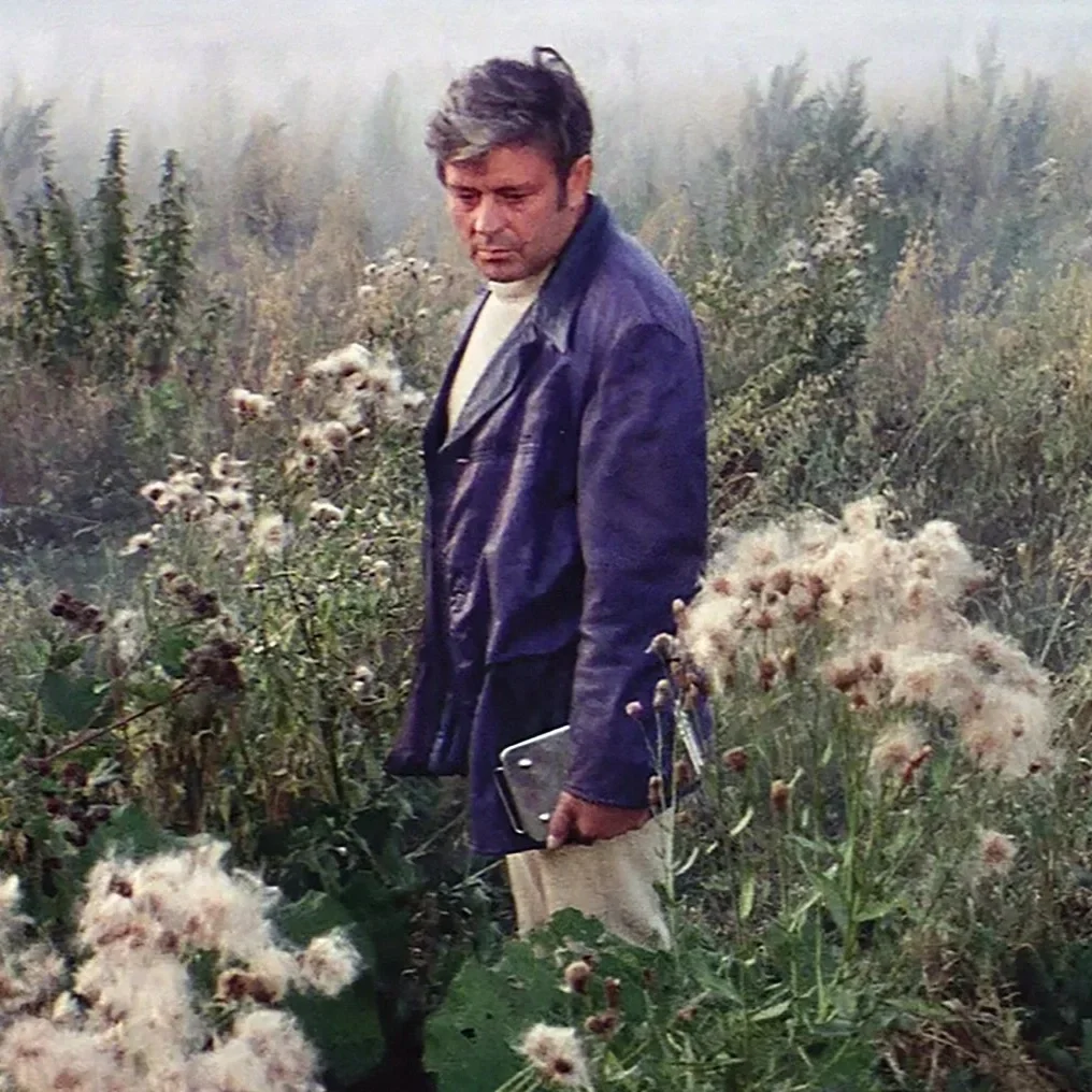 Folge 5: Love Without Distance: Tristan, Solaris, and the Violence of Fulfilled Desire