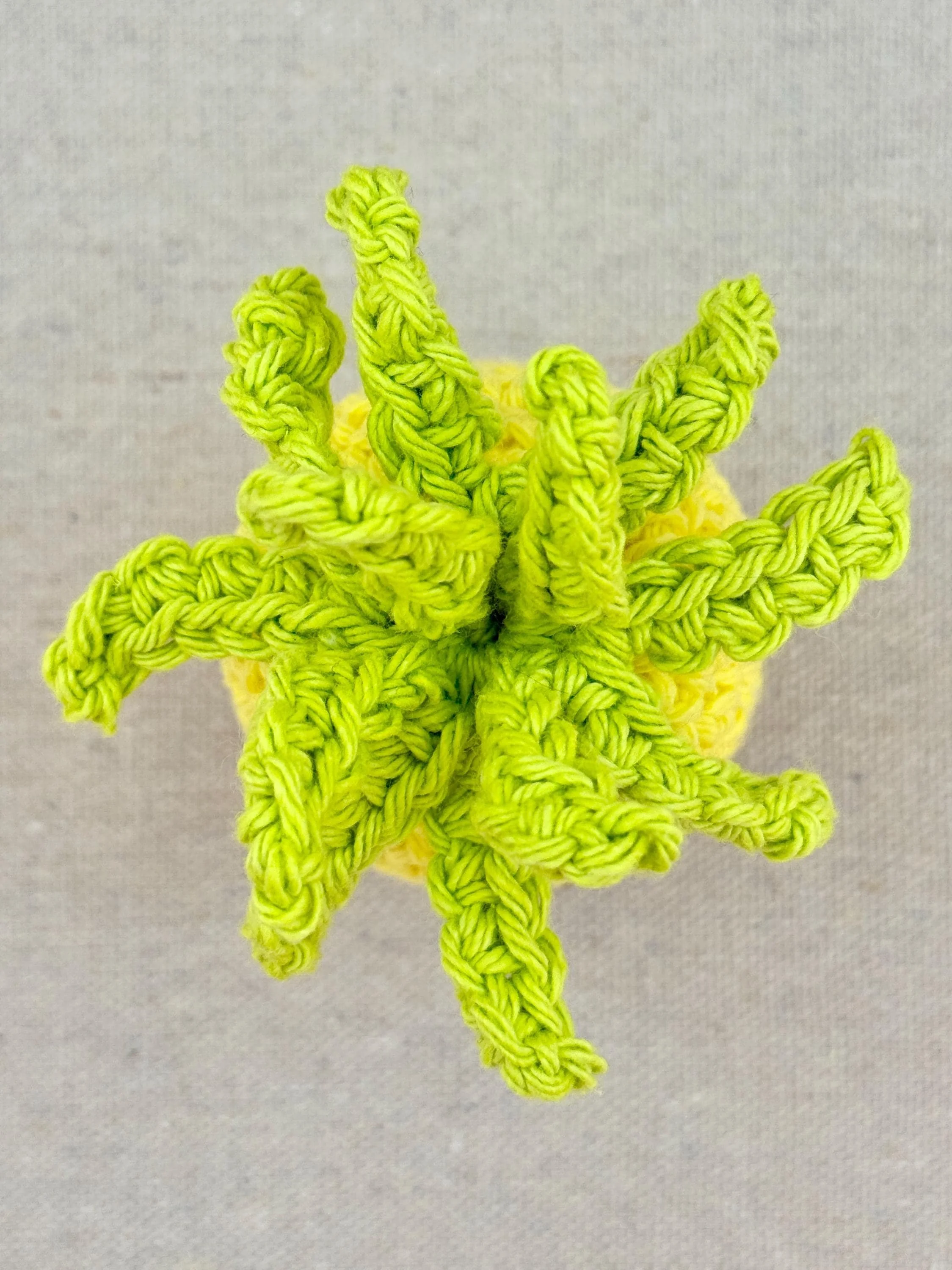 A close up shot displaying the details of the bright yellow pineapple’s leaf top (Copy)