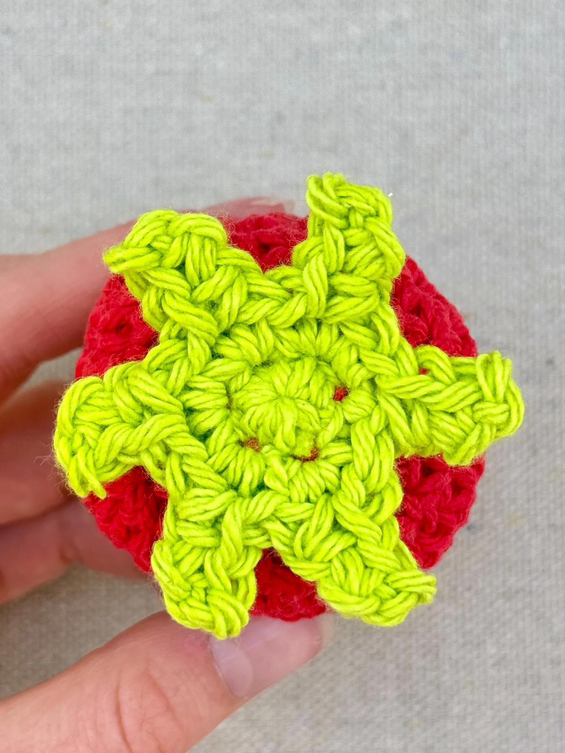 A close up shot displaying the details of the red strawberry’s leaf top (Copy)