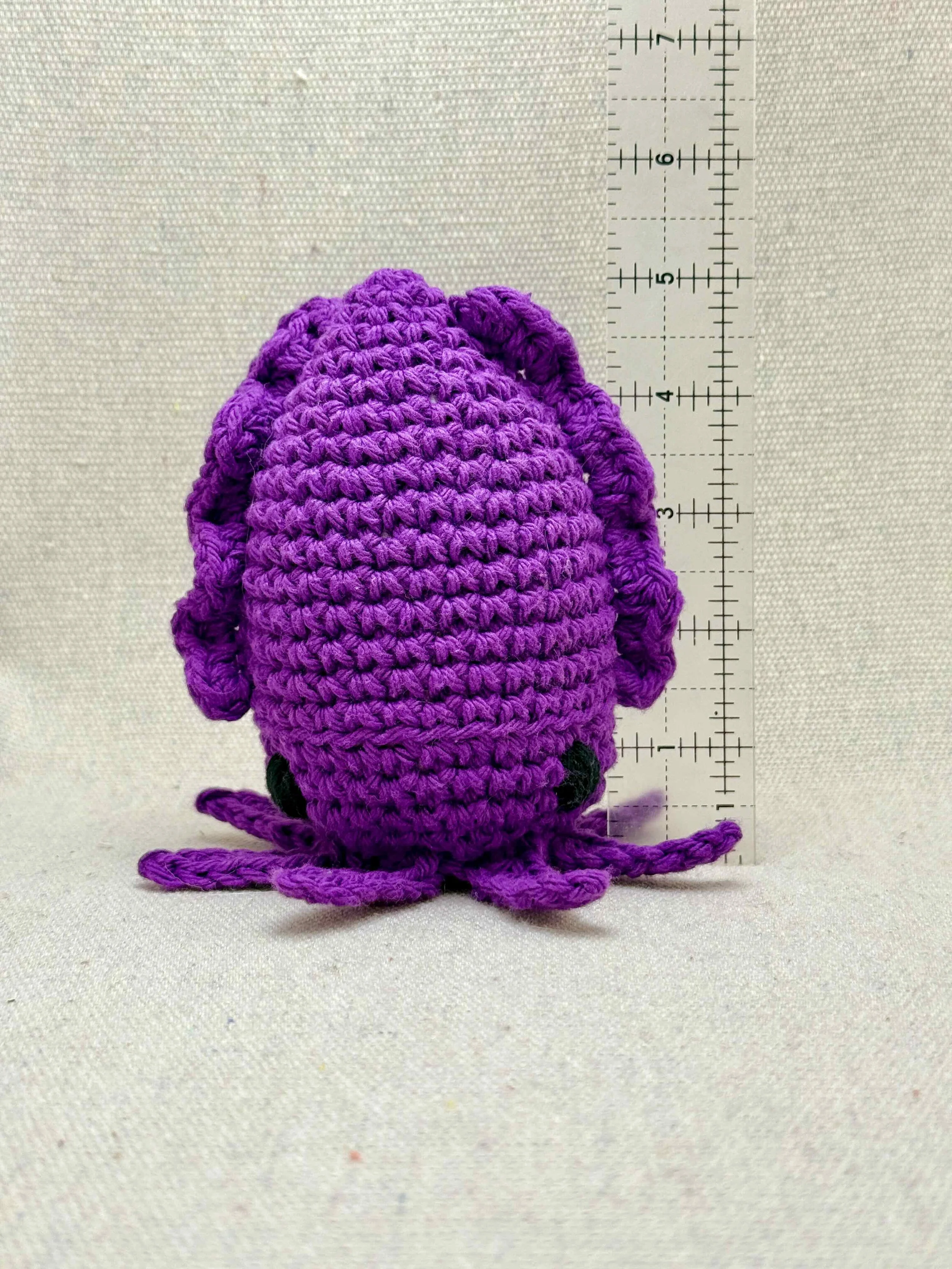 cuttlefish - 13 of 25.jpeg