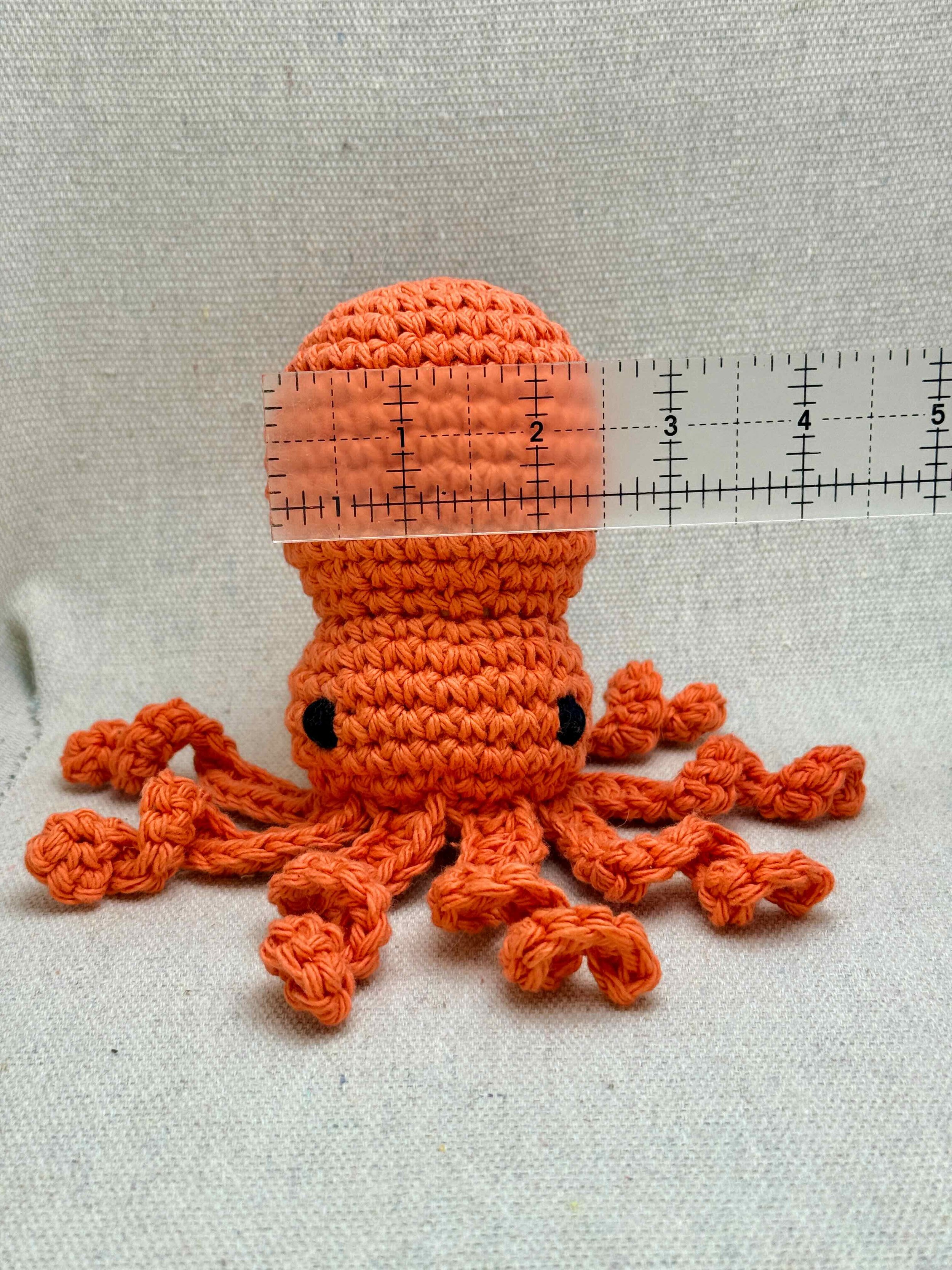 octopus - 13 of 23.jpeg