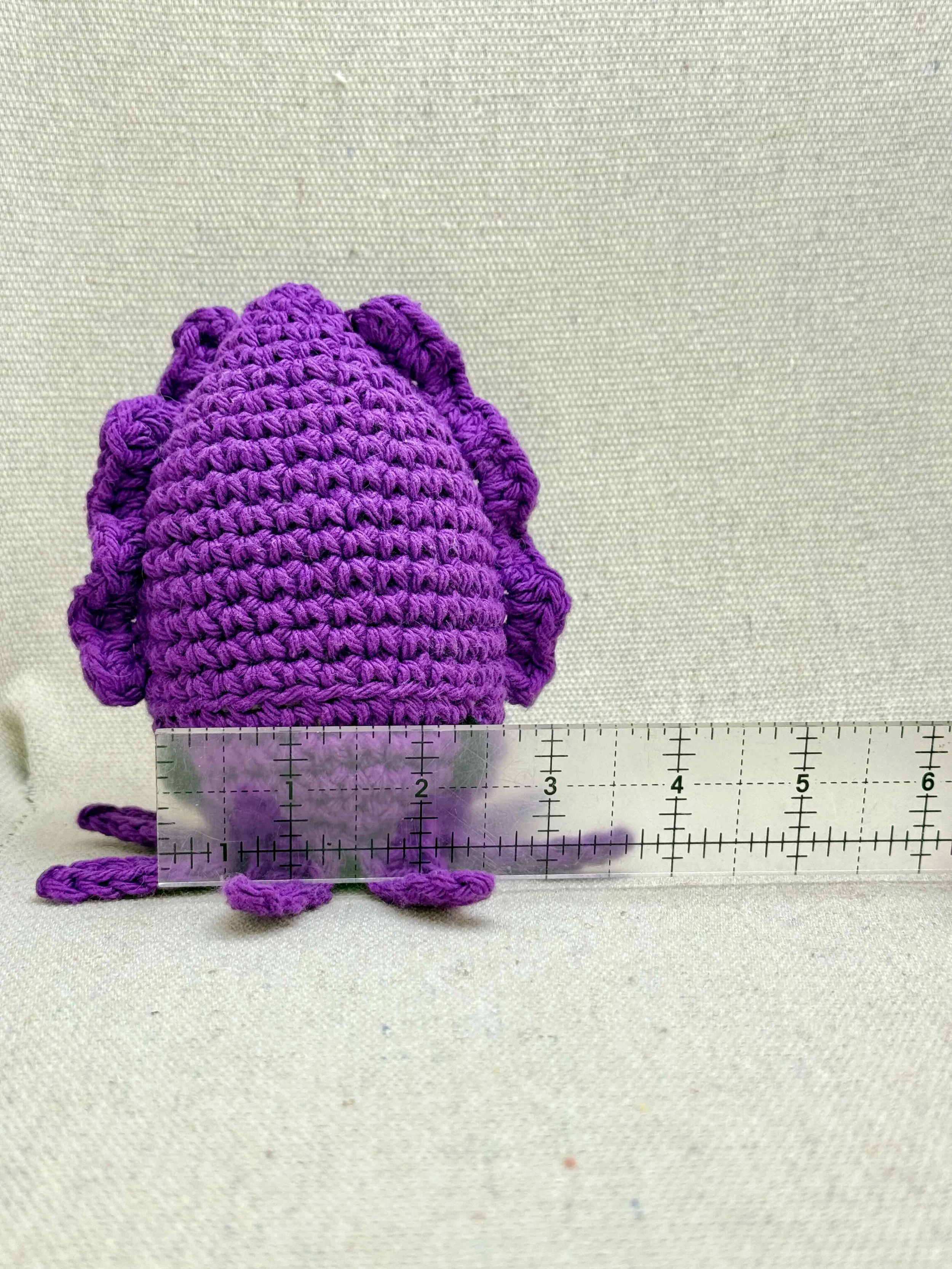cuttlefish - 12 of 25.jpeg