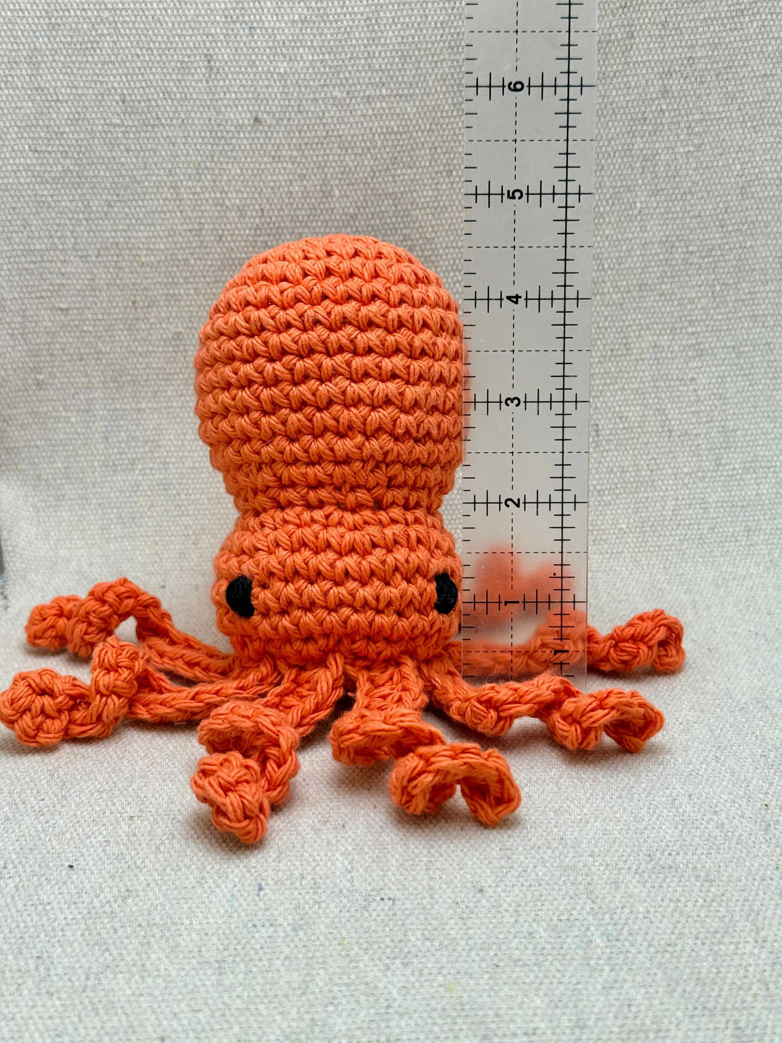 octopus - 14 of 23.jpeg