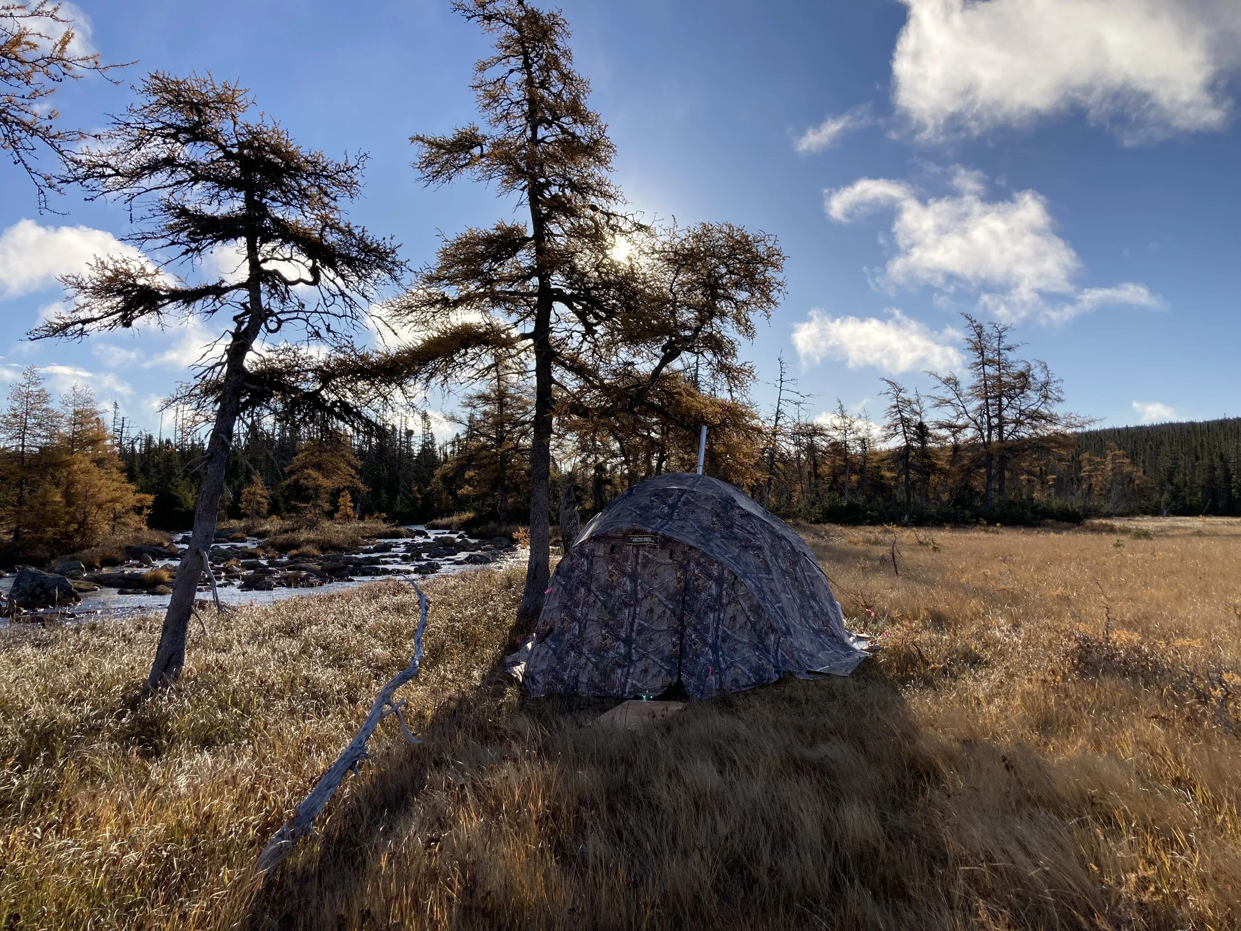 Tent pitched in a grassy field near a river, surrounded by trees with fall foliage under a partly cloudy sky.