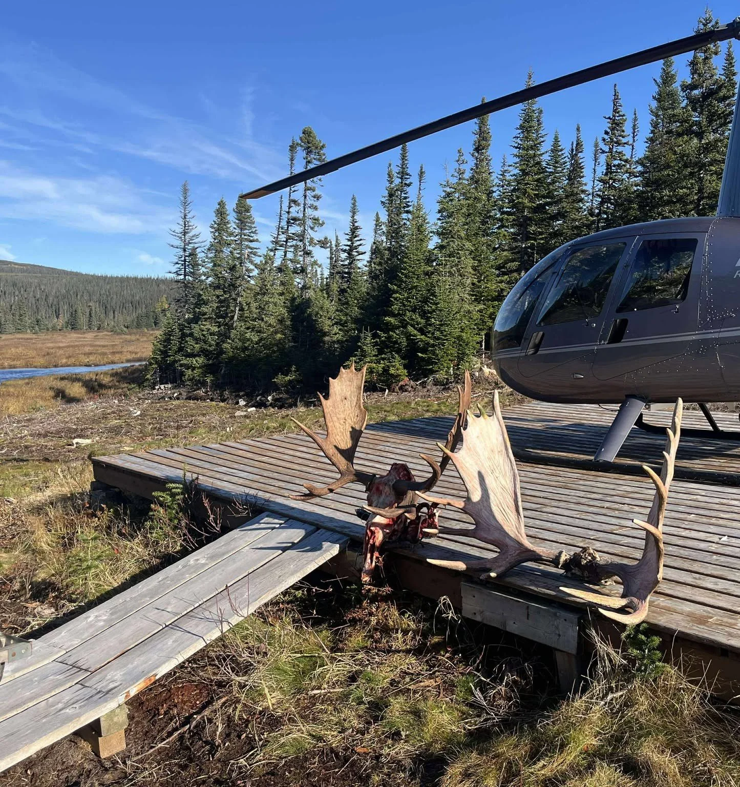 HELICOPTER ON PAD WITH MOOSE.jpg