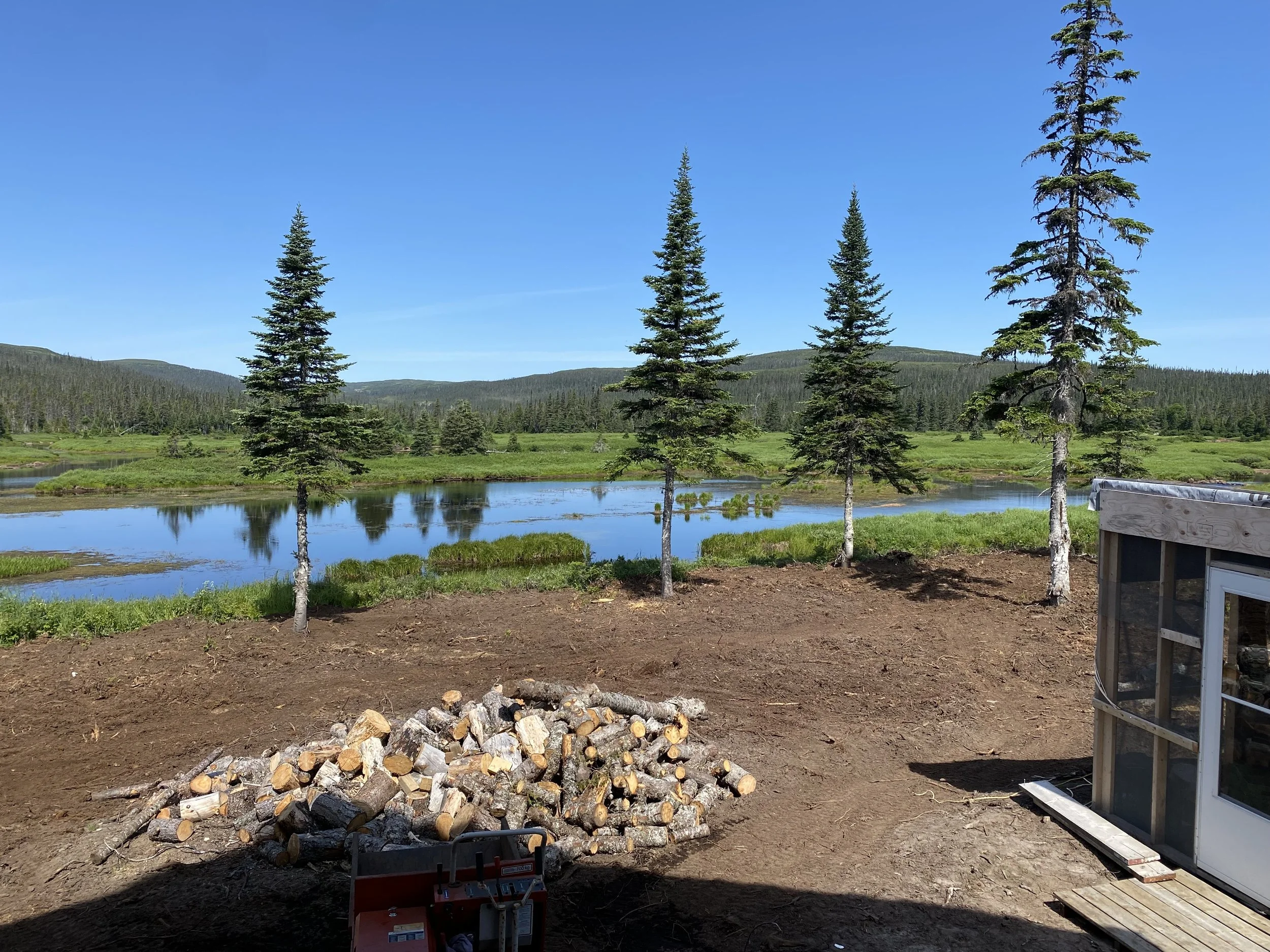 View of a serene lakeside scene with five tall pine trees in the foreground, calm water reflecting the trees, green grass and hills in the background, clear blue sky, and construction materials and a small shed on the dirt ground in the foreground.