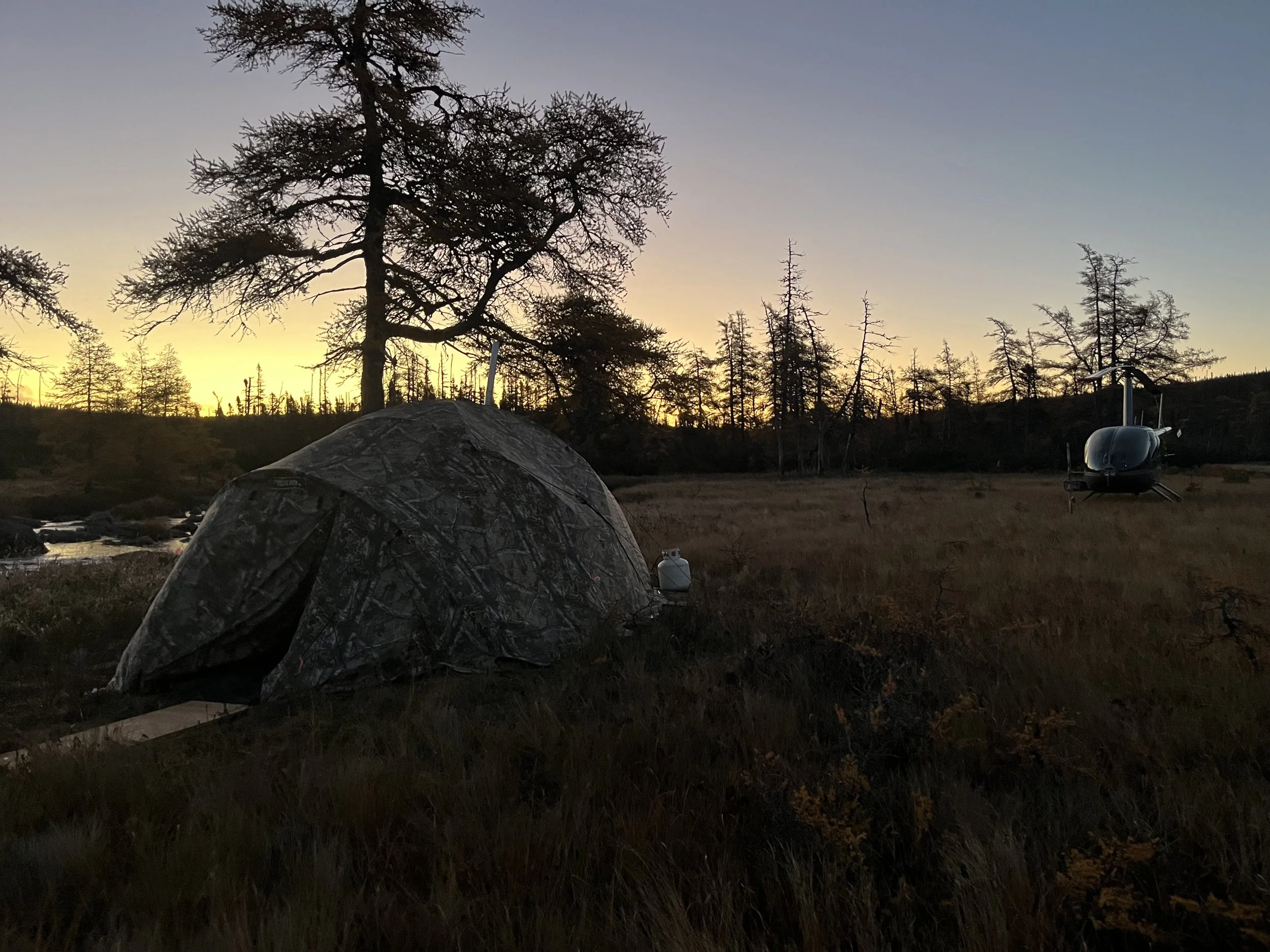 A camping tent and a helicopter are set up in a field with trees at sunset.