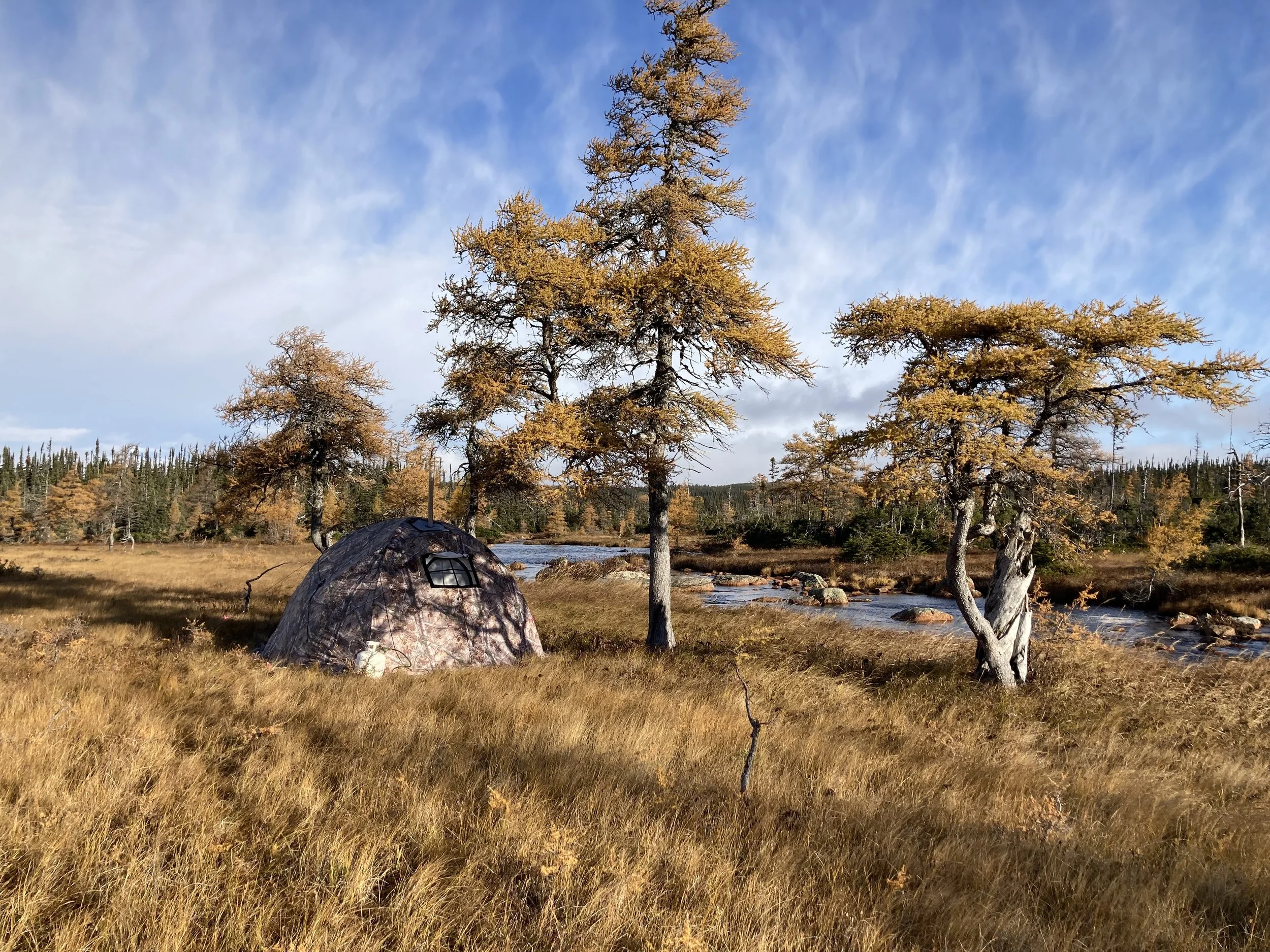 A camouflaged tent set up in a grassy field near a river, with tall trees in the background under a partly cloudy sky.