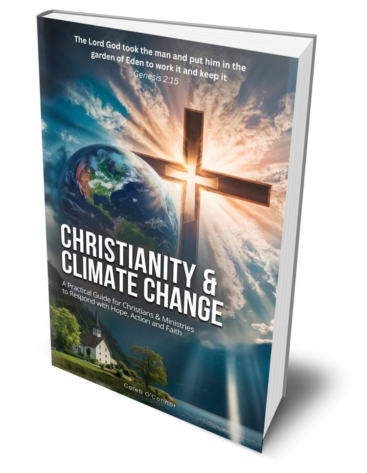 What Professional Book Titles Do Differently