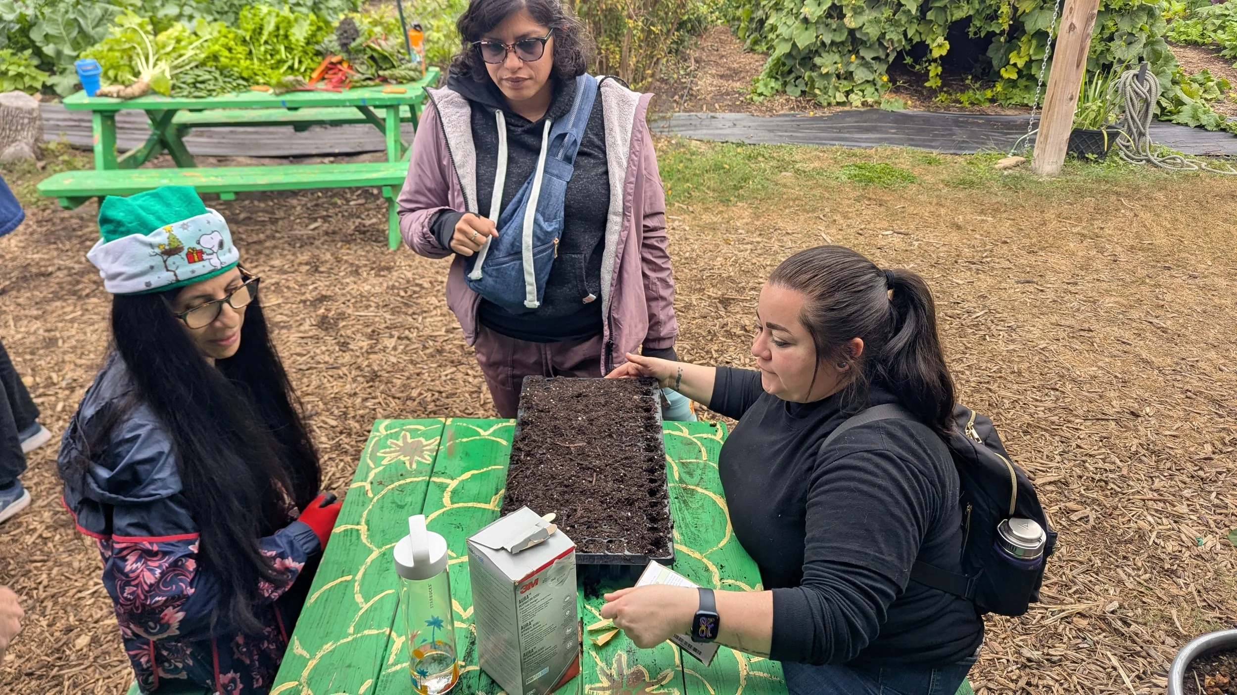 Volunteers at Gardopia planting seedlings