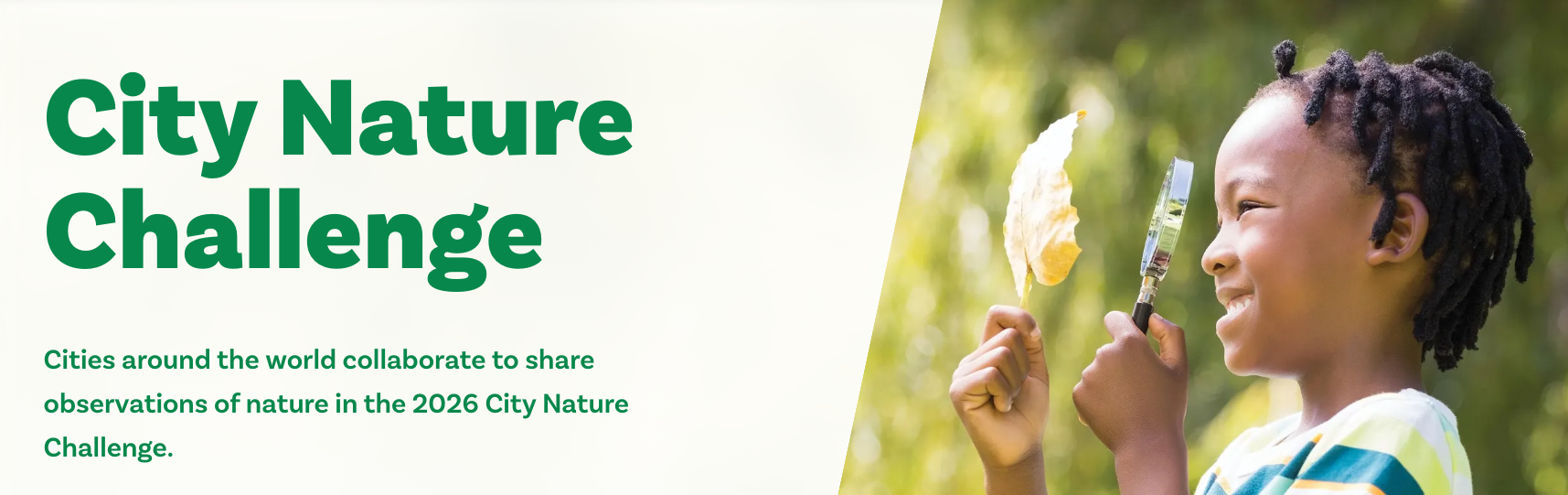 City Nature Challenge!