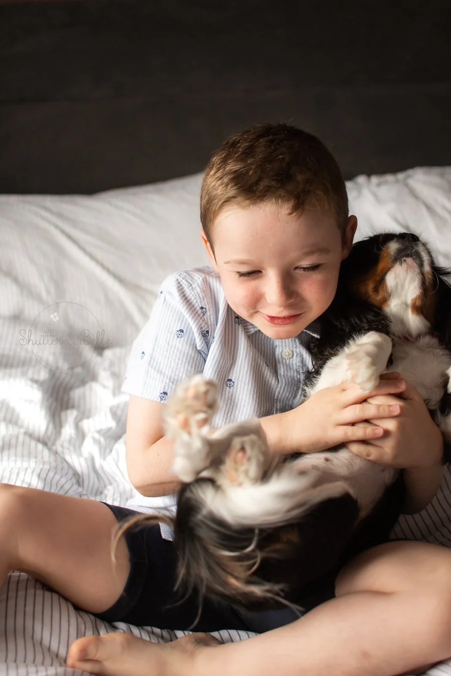 A young boy playing with a puppy on a bed.