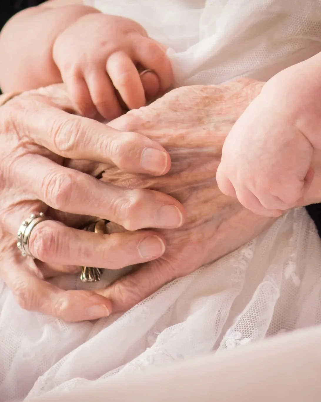 A young child's hand holding an elderly person's hand, emphasizing the contrast between the small, smooth hand and the large, wrinkled hand with rings, symbolizing connection and generational bond.