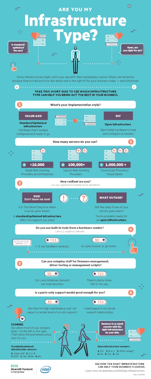 IT Infrastructure Infographic (Copy)