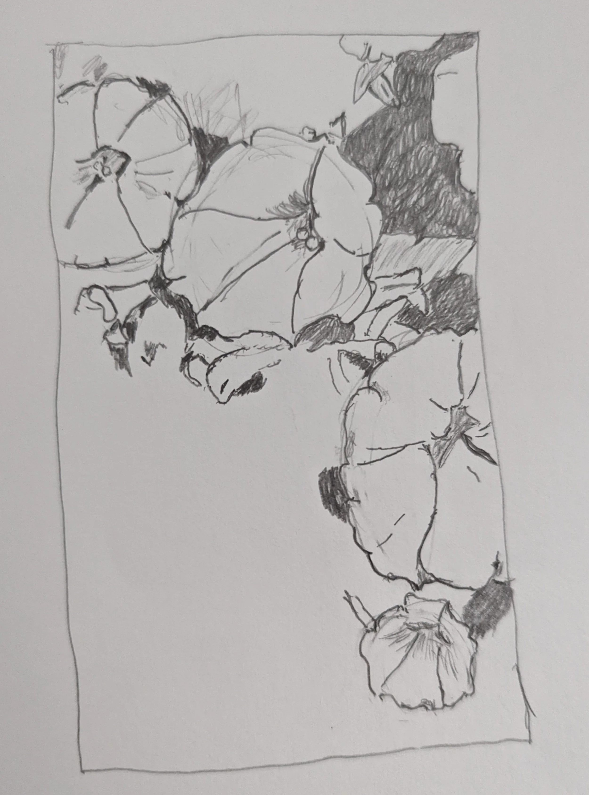 flowers sketch.jpg