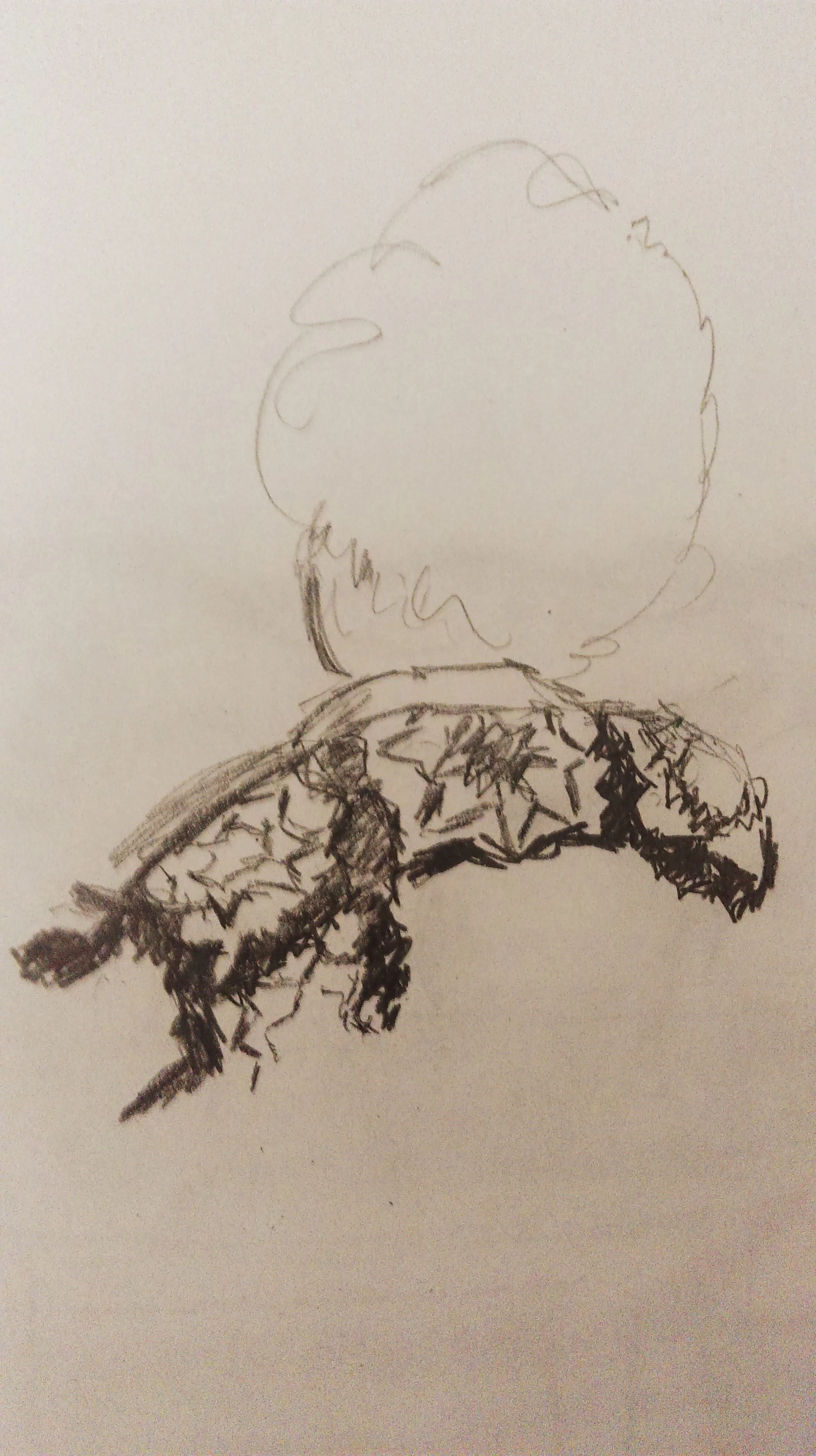 grandma sketch 2.jpg