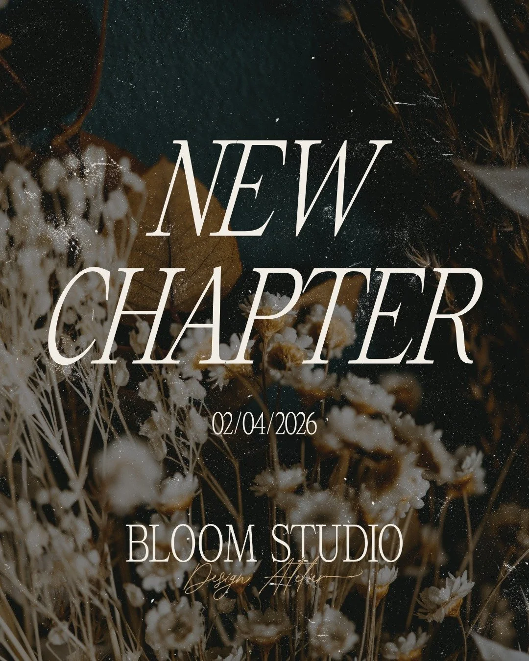 Bloom Studio is entering its next chapter. 🔥

Vieles hat sich in letzter Zeit ver&auml;ndert &ndash; still &amp; leise im Hintergrund. Das Studio hat sich weiterentwickelt, ich habe mich weiterentwickelt: klarer in den Werten, selbstbewusster im Auf