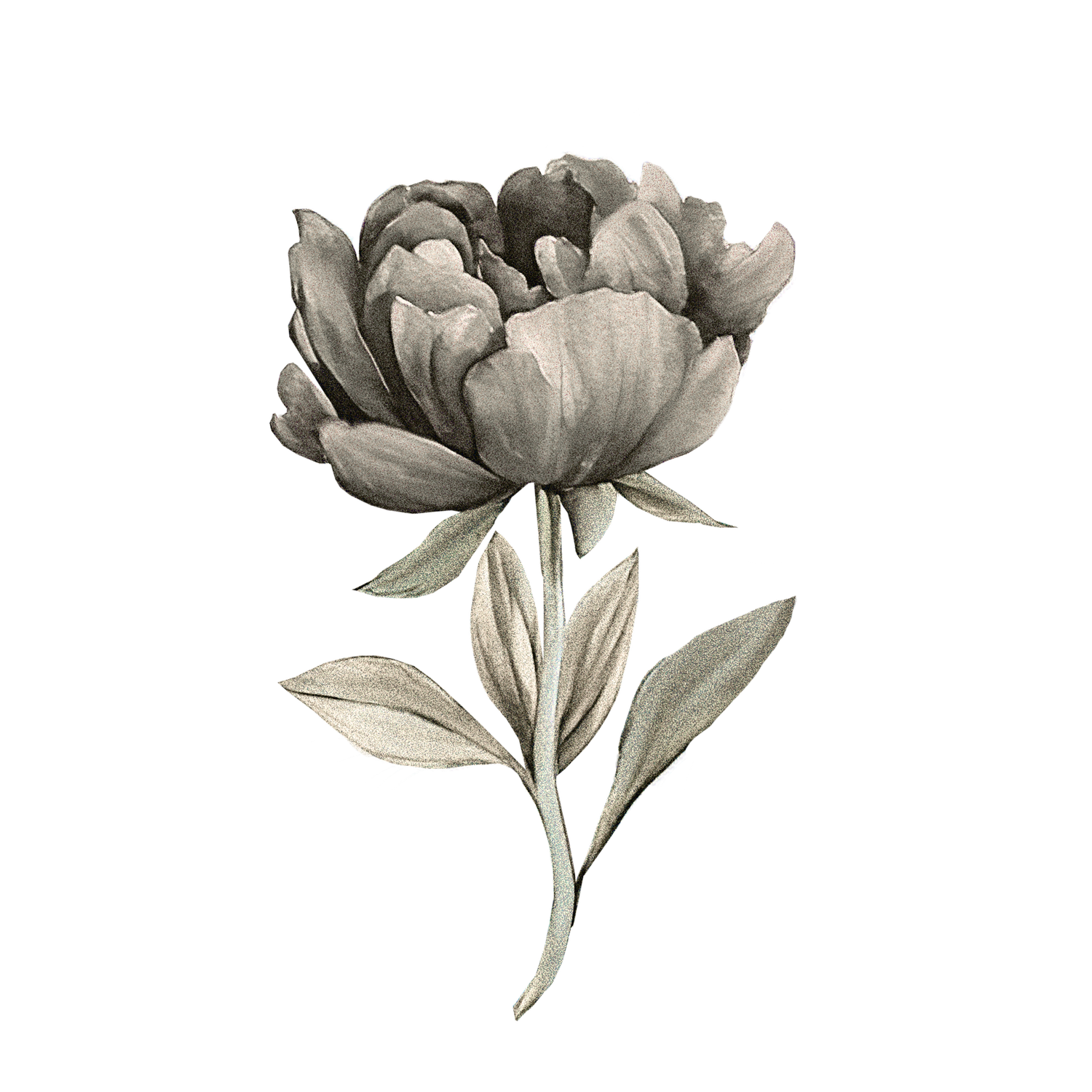 BLOOM STUDIO