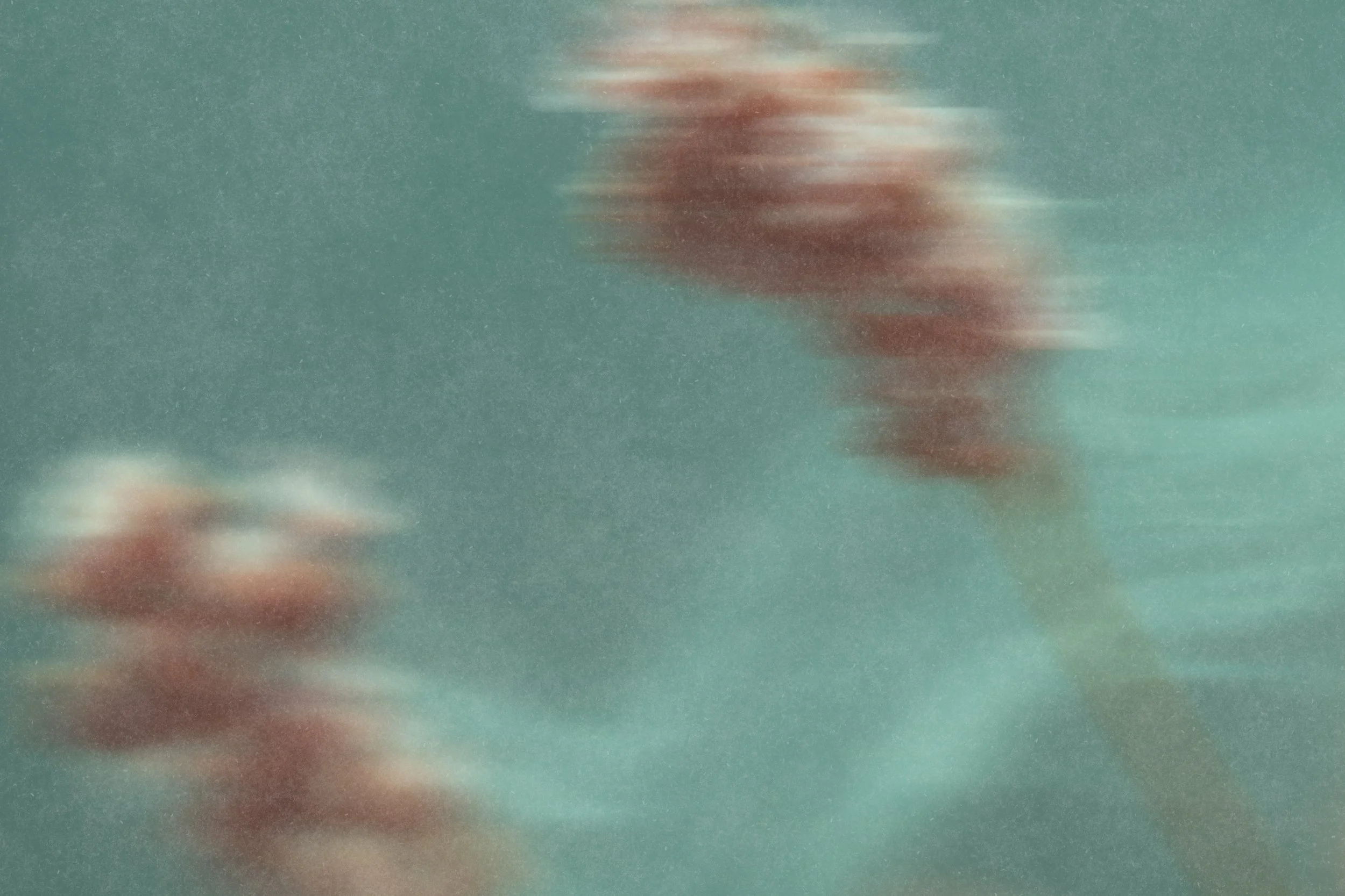Ein Bild von verschwommenen Blumen auf hellem Hintergrund.