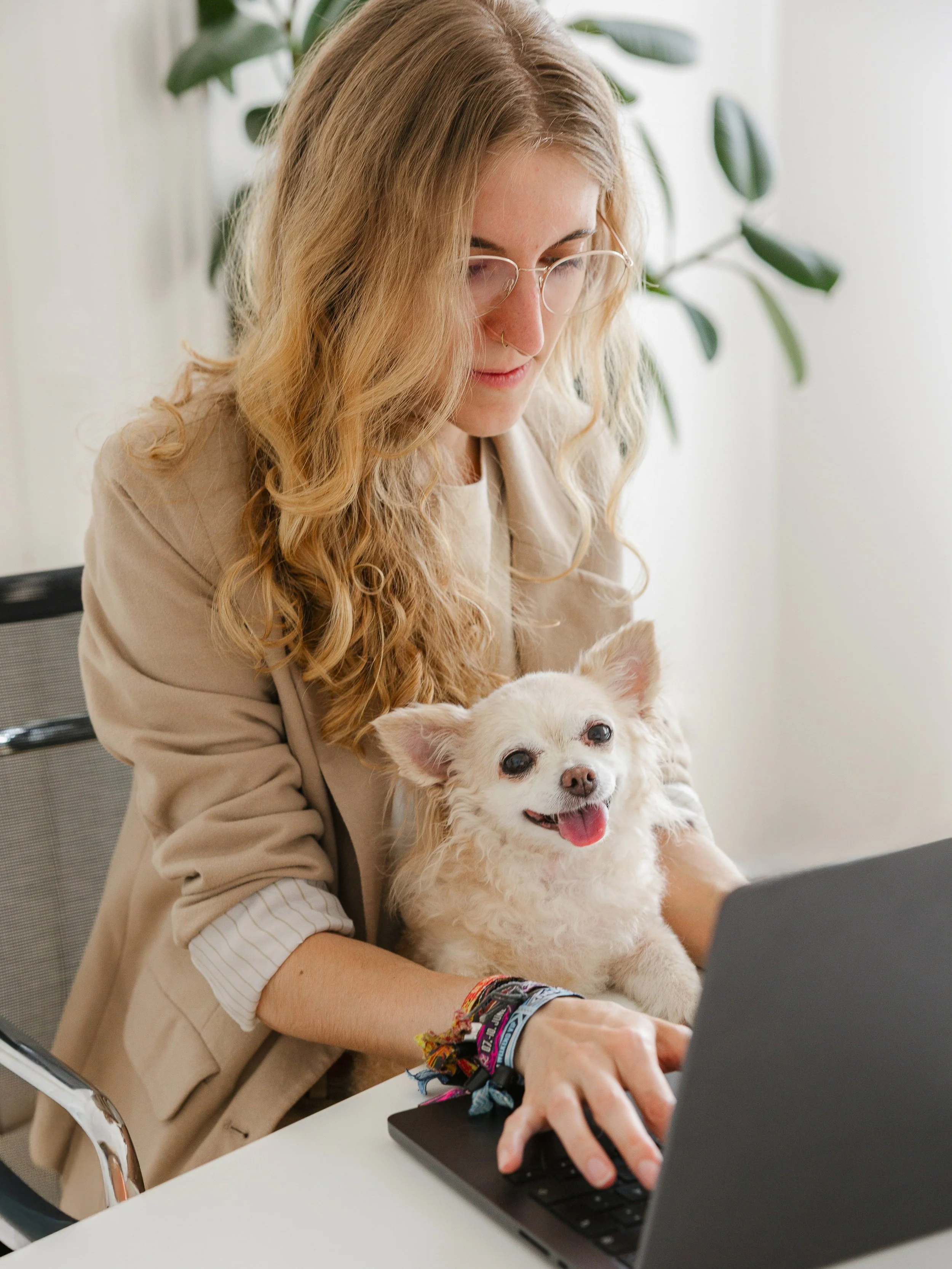 Eine junge Frau arbeitet an einem Laptop, während sie einen kleinen weißen Hund auf ihrem Schoß hält. Die Frau hat lange, lockige blonde Haare und trägt eine Brille.