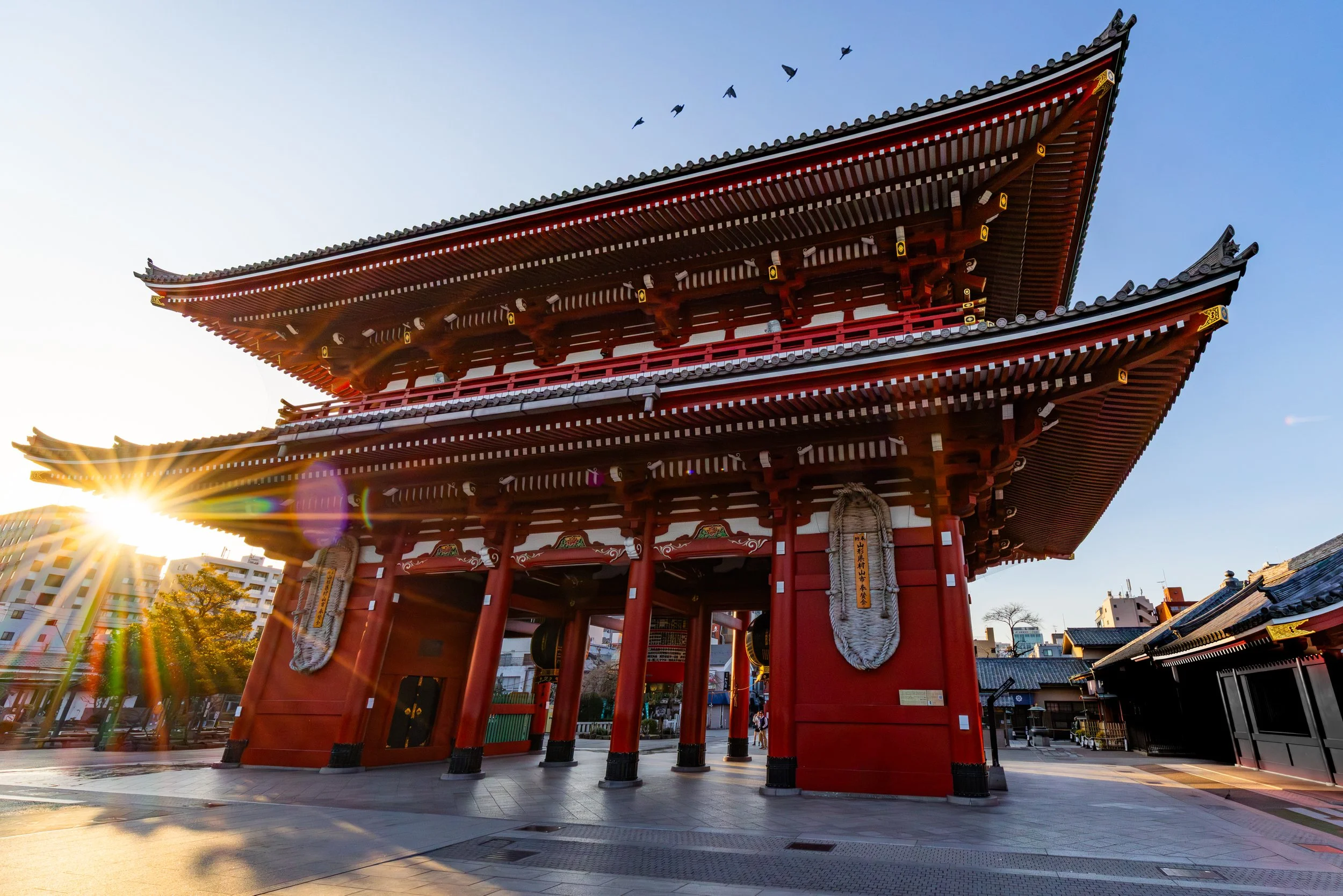 01-30-2026-JAPAN-TPJ1759-Edit.jpg