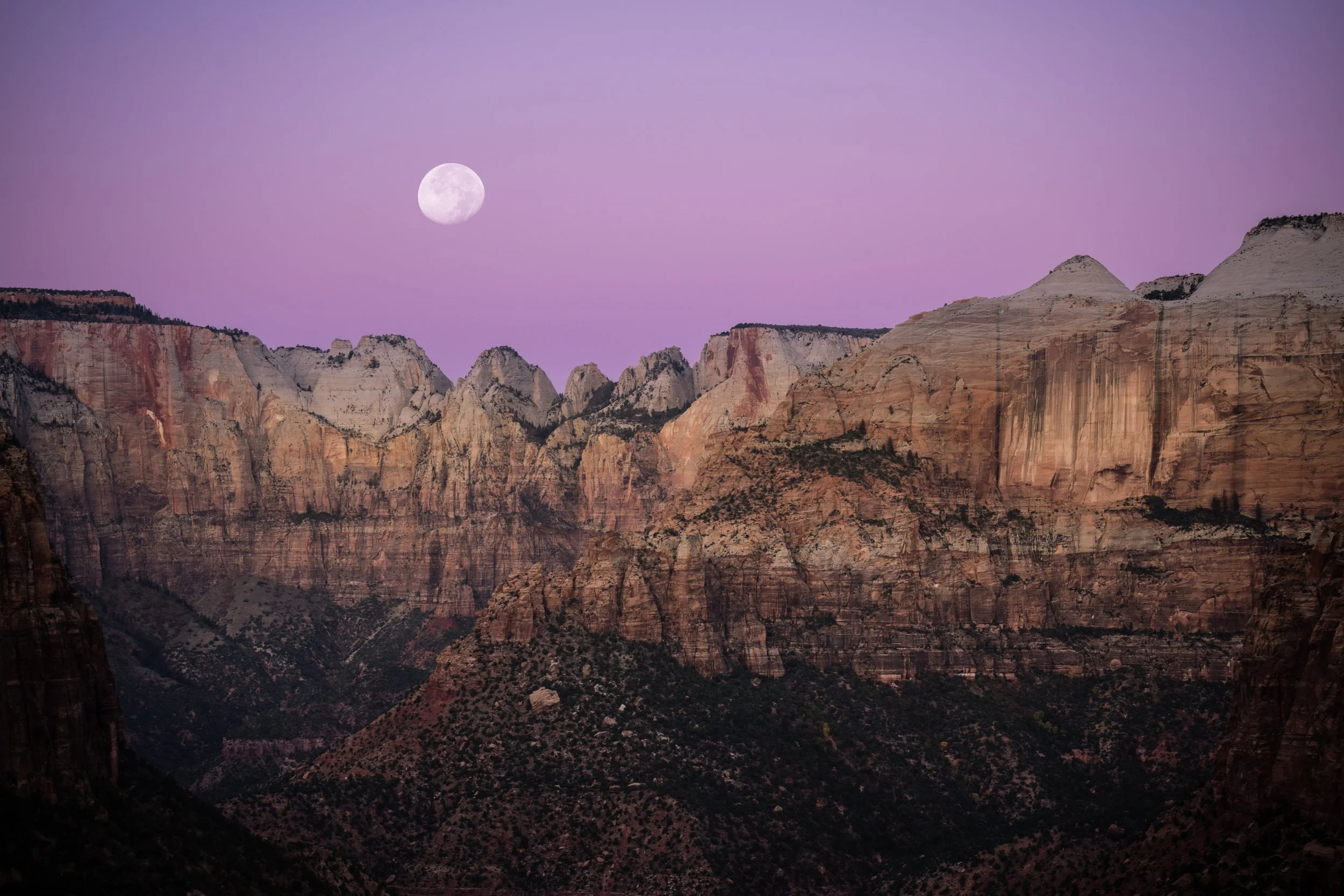 10-31-2023-Zion-Nat-Geo-TPJ00497-Edit.jpg