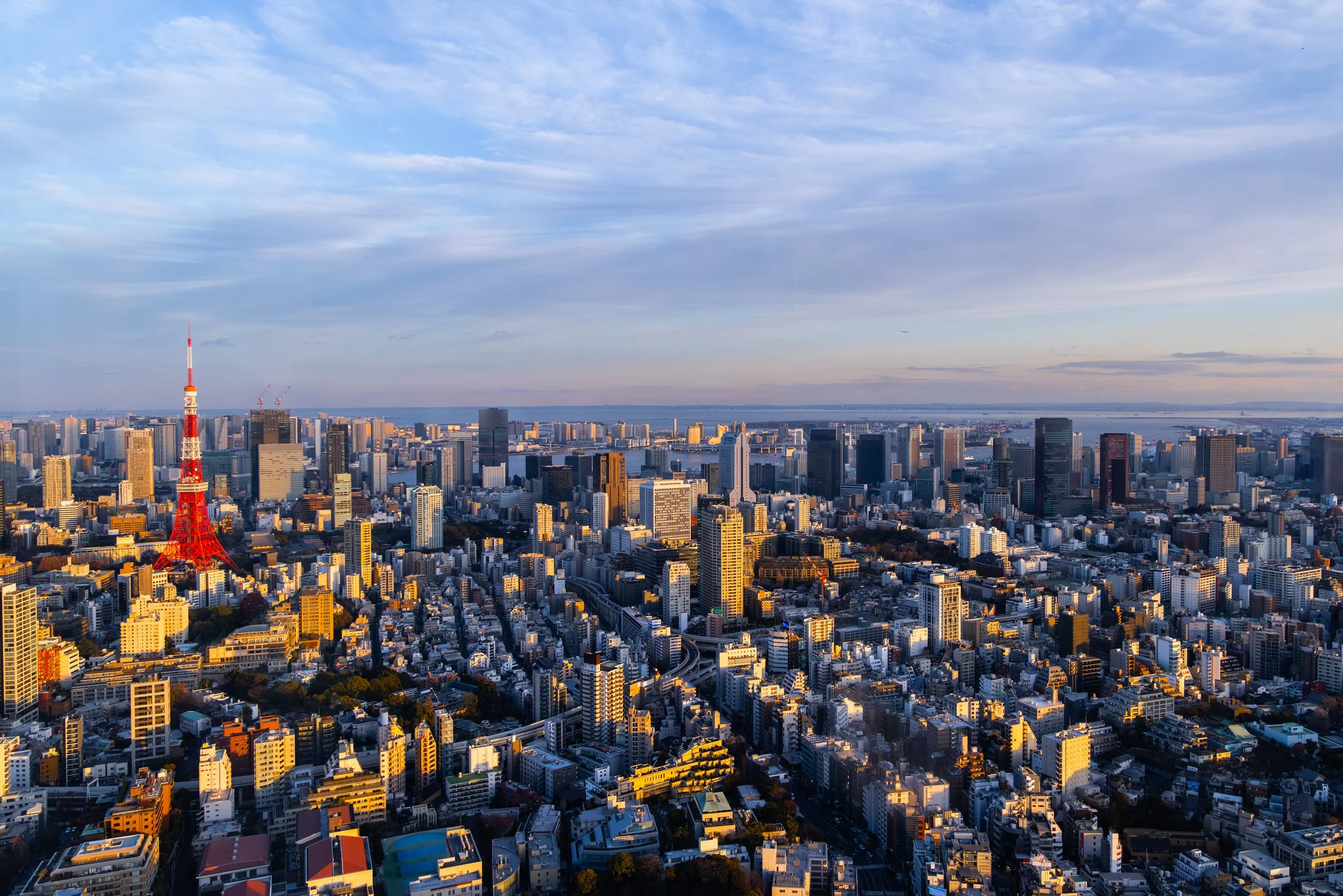 01-31-2026-JAPAN-TPJ3920.jpg