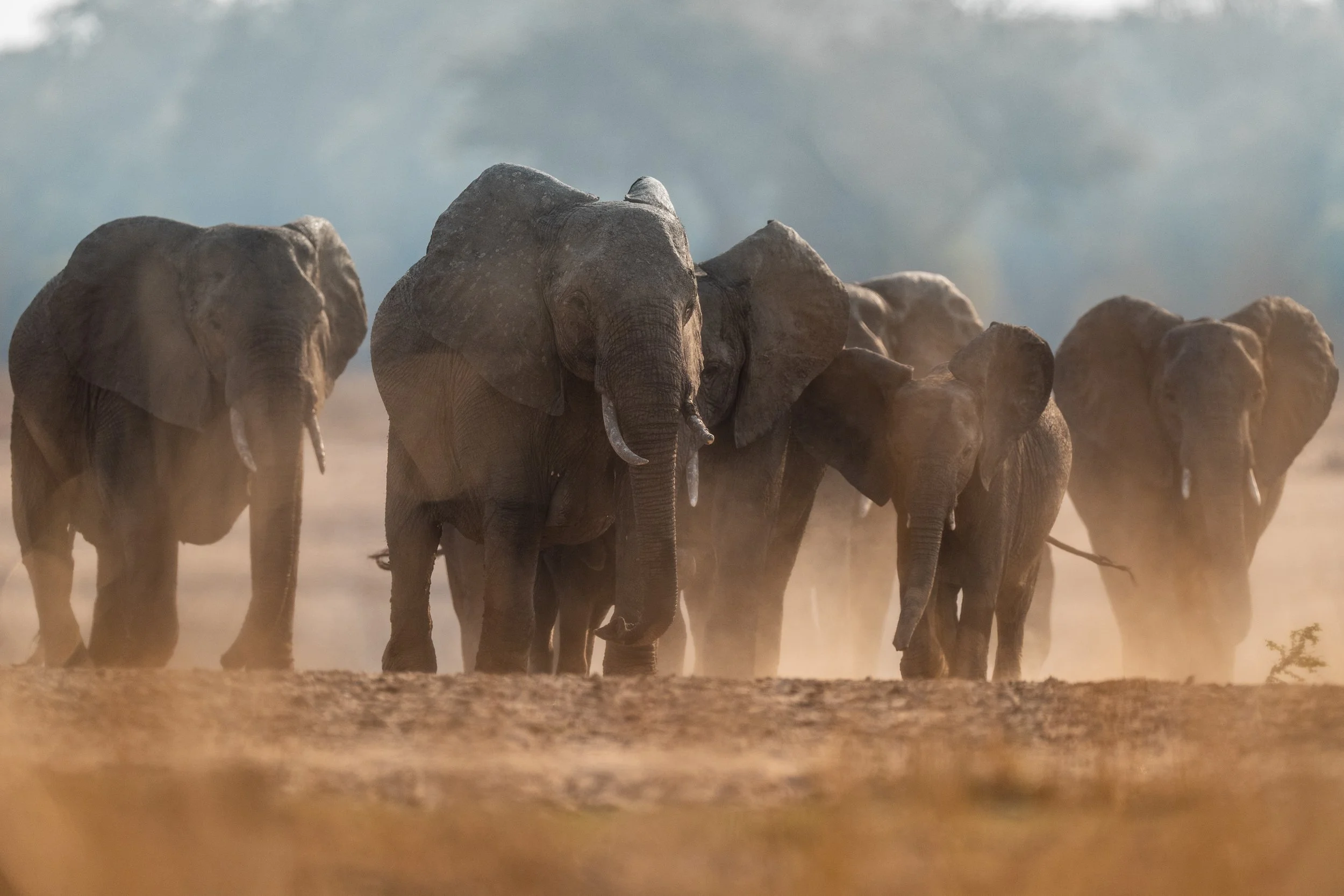 09-11-2024-ZAMBIA-A9-TPJ03926.jpg